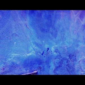 Meet your Posher, Carol